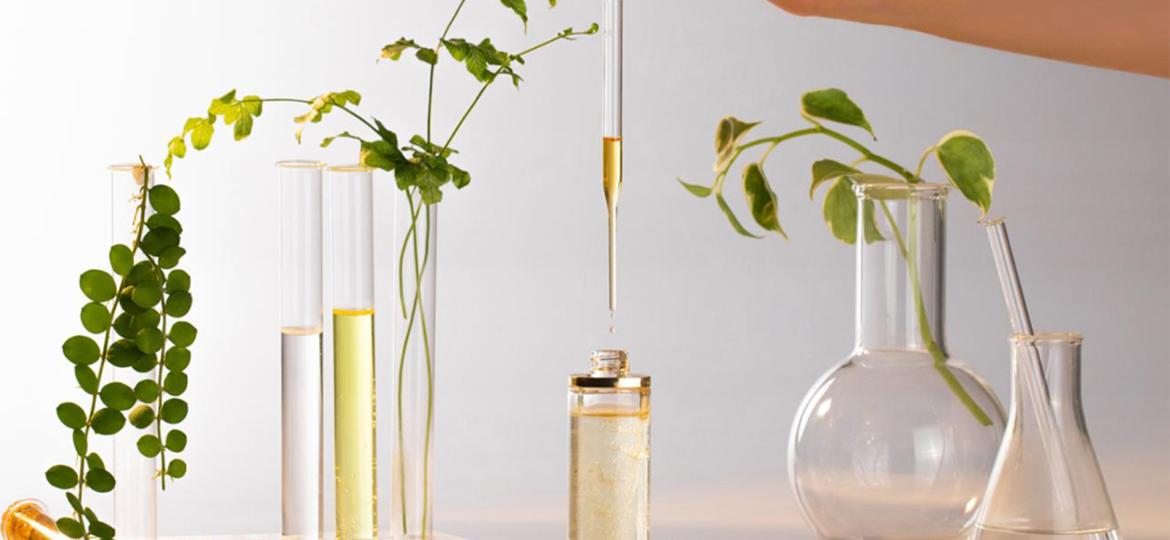 Chemist perfume 2025
